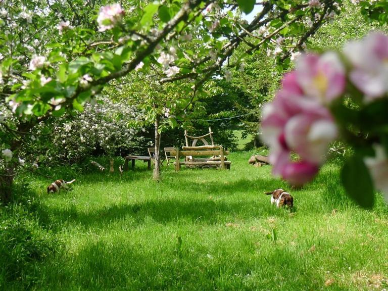 Tuell Farm Cottages Tavistock  Eksteriør bilde